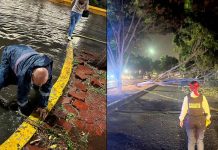 Tormenta en Morelia provocó encharcamientos, caída de árboles y rescate de dos personas