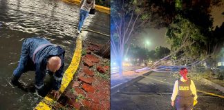 Tormenta en Morelia provocó encharcamientos, caída de árboles y rescate de dos personas