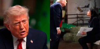 #VIDEO // “Eres una prensa deshonesta”: Trump insulta a periodista y abandona entrevista en Wisconsin