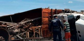 Vuelca tractocamión en la autopista Morelia-Salamanca; no hay lesionados