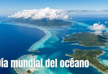 Día Mundial de los Océanos: 5 datos sorprendentes que probablemente no conocías en el mundo