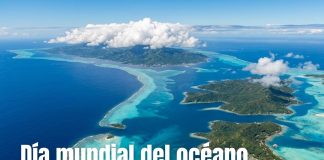 Día Mundial de los Océanos: 5 datos sorprendentes que probablemente no conocías en el mundo
