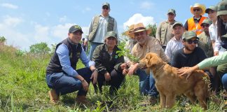 Bedolla arrancó reforestación de 13 millones de árboles; rindió homenaje a los brigadistas fallecidos en incendios forestales