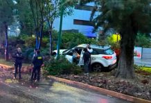 Se registra choque de camioneta contra árbol en el Libramiento Sur de Morelia