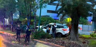 Se registra choque de camioneta contra árbol en el Libramiento Sur de Morelia