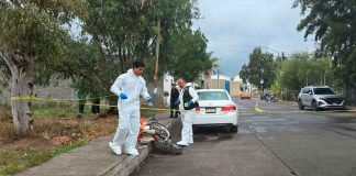 #VIDEO // Adulta mayor muere tras ser embestida por un motociclista en Jesús del Monte, Morelia