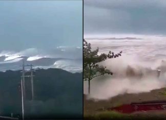#VIDEO // Así se vivió la evacuación costera y alerta de tsunami tras potente sismo en Filipinas