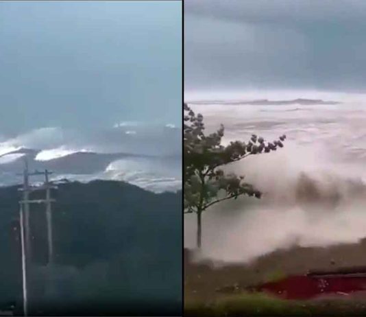 #VIDEO // Así se vivió la evacuación costera y alerta de tsunami tras potente sismo en Filipinas