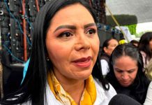 Araceli Saucedo señala que no se la ha dicho nada sobre asumir la dirigencia del PRD en Michoacán