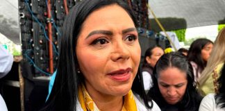 Araceli Saucedo señala que no se la ha dicho nada sobre asumir la dirigencia del PRD en Michoacán
