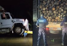 Asegura GC camión con aproximadamente 10 metros cúbicos de madera en rollo en Madero
