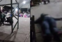 #VIDEO // Matan a asistente de diputado durante balacera en pleno festejo de la Selección Mexicana