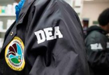 The New York Times revela presuntos contactos de la DEA con políticos mexicanos