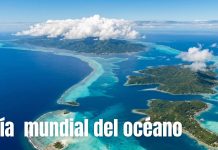 Día Mundial de los Océanos: 5 datos sorprendentes que probablemente no conocías en el mundo