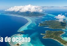 Día Mundial de los Océanos: 5 datos sorprendentes que probablemente no conocías en el mundo