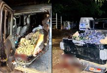 Hallan a cuatro hombres asesinados tras presunto enfrentamiento entre CJNG y Caballeros Templarios en Parácuaro