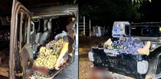 Hallan a cuatro hombres asesinados tras presunto enfrentamiento entre CJNG y Caballeros Templarios en Parácuaro