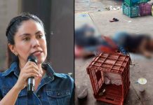Tras asesinato de jóvenes en el mercado municipal de Apatzingán, alcaldesa continúa reforzando seguridad