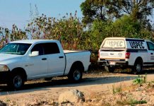 Hallan a hombre asesinado en huerto de aguacate ubicado en la región de Tacámbaro