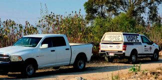 Hallan a hombre asesinado en huerto de aguacate ubicado en la región de Tacámbaro