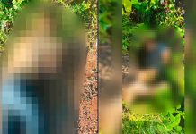 Hallan a dos hombres ejecutados en el municipio de Zinapécuaro
