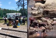 #VIDEO // Hombre pierde brazo y pierna tras ser arrollado por tren; sobrevive de milagro