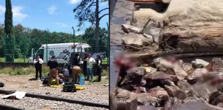 #VIDEO // Hombre pierde brazo y pierna tras ser arrollado por tren; sobrevive de milagro