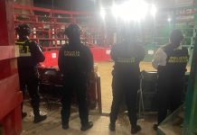 Policía Morelia desaloja palenque clandestino en colonia Vasco de Quiroga