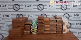 Detiene a sujeto que trasportaba 88 kilos de fentanilo ocultos en camión de carga en Sonora