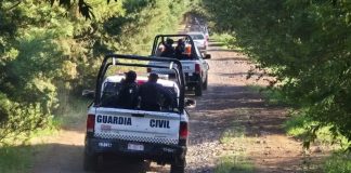Extraoficial 5 policías muertos y al menos 6 heridos tras emboscada en la región Nahuatzen