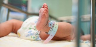 Rescatan a bebé de ocho meses abandonada; suman 19 menores rescatados por el DIF en 2026