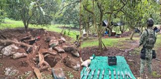 Soldados localizan narco campamento en Cotija; aseguran 10 kilos de explosivo y 36 artefactos