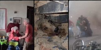 #VIDEO // Doblete sismico deja 164 muertos, más de mil heridos y decenas de edificios colapsados