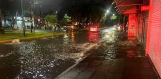 Colector pluvial en la Huerta evitará que la zona se convierta en alberca durante las lluvias: Scop