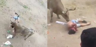 VIDEO // Tradición taurina deja un muerto, múltiples heridos y es cancelada definitivamente