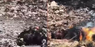 #VIDEO // Enfrentamiento deja cinco muertos y cinco vehículos calcinados