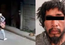 #VIDEO // Luis N. es declarado culpable tras atacar con una roca a un perrito en Puebla