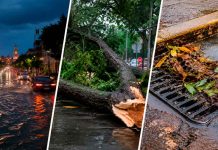 ¿Tu colonia se inundó? Así puedes reportar árboles caídos, alcantarillas tapadas y emergencias por lluvia en Morelia