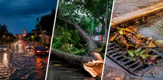 ¿Tu colonia se inundó? Así puedes reportar árboles caídos, alcantarillas tapadas y emergencias por lluvia en Morelia