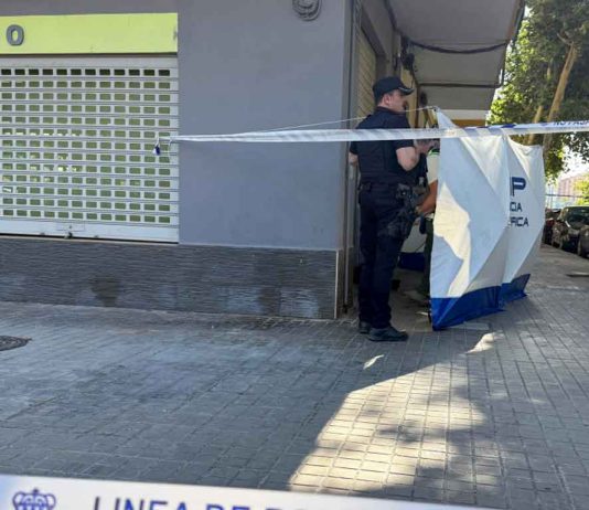 Terapeuta de un menor pierde la vida en Valencia; padre del niño fue detenido