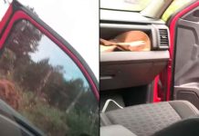 #VIDEO // Madres buscadoras enfrentan ataque durante rastreo en Pátzcuaro