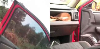 #VIDEO // Madres buscadoras enfrentan ataque durante rastreo en Pátzcuaro