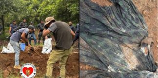 Madres buscadoras localizan restos de dos personas en fosas clandestinas de Uruapan