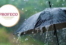 Profeco revela cuáles son los paraguas más seguros y resistentes contra las lluvias