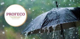 Profeco revela cuáles son los paraguas más seguros y resistentes contra las lluvias