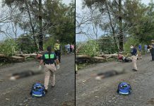 Motociclista muere al derrapar y chocar contra una rama, en camino de Zamora