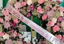 Niña de 14 años pierde la vida tras sufrir bullying en la secundaria por padecer vitíligo