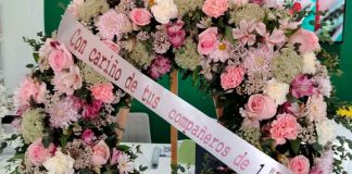 Niña de 14 años pierde la vida tras sufrir bullying en la secundaria por padecer vitíligo
