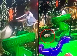 #VIDEO // Niña termina en el hospital tras ser empujada de un tobogán por otro menor en Hanói
