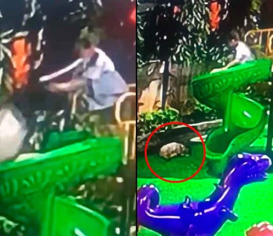 #VIDEO // Niña termina en el hospital tras ser empujada de un tobogán por otro menor en Hanói